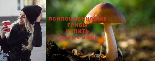 гидра Абинск