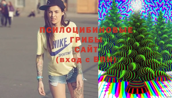 a pvp Абаза