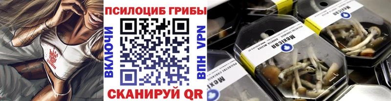 Псилоцибиновые грибы прущие грибы  сколько стоит  Шимановск 